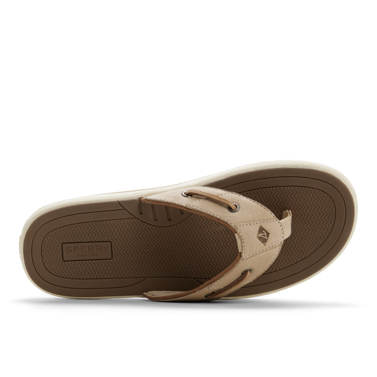 Baitfish Thong Sandal image 6